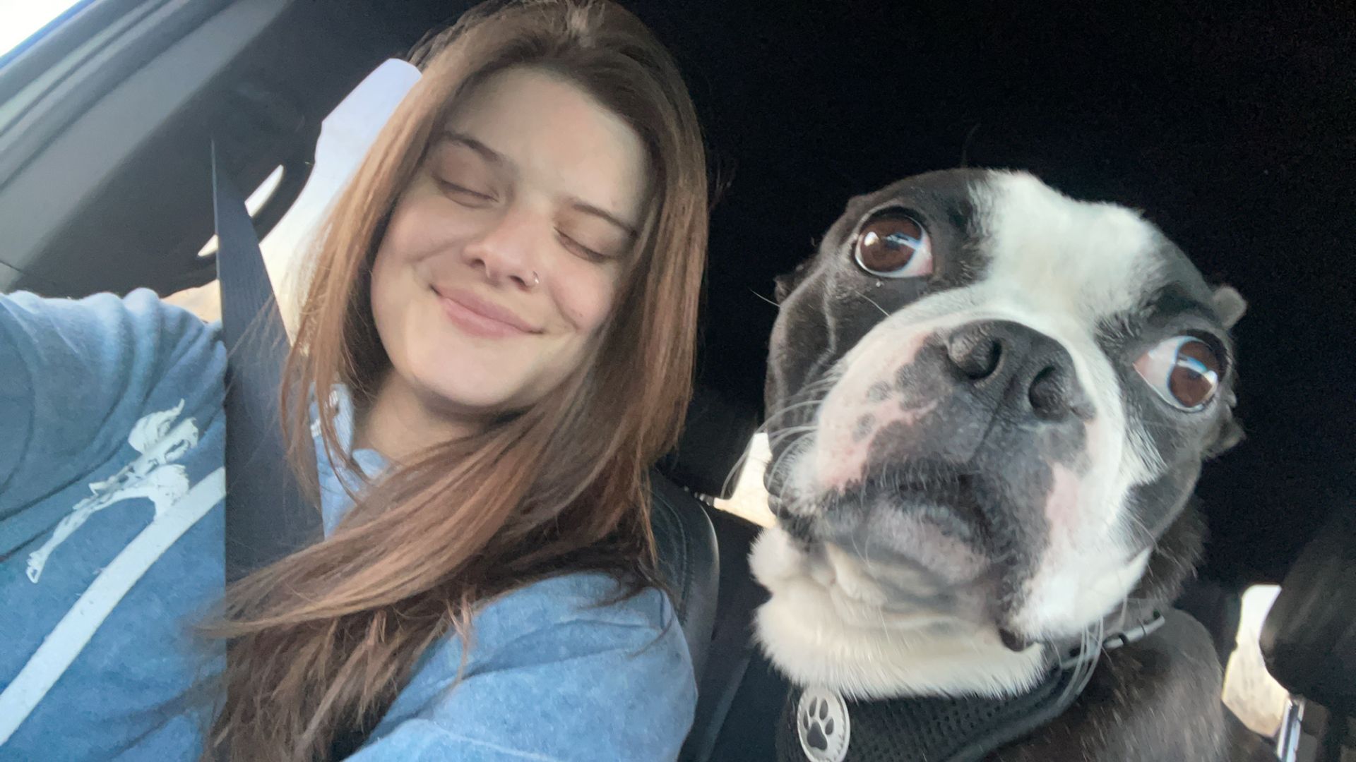 Pet photo